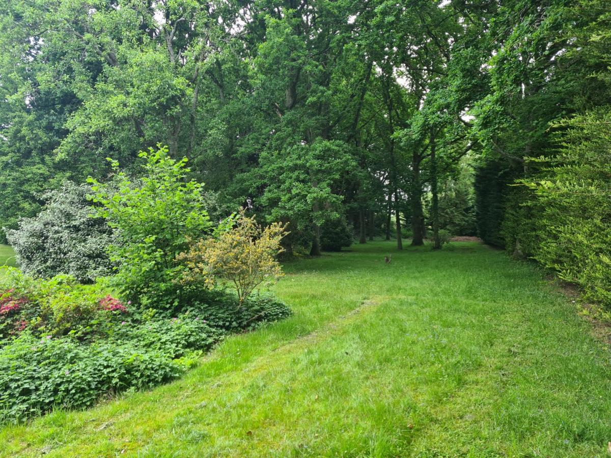 The Reading Whole Apartment With Private Lake And Gardens Eksteriør billede