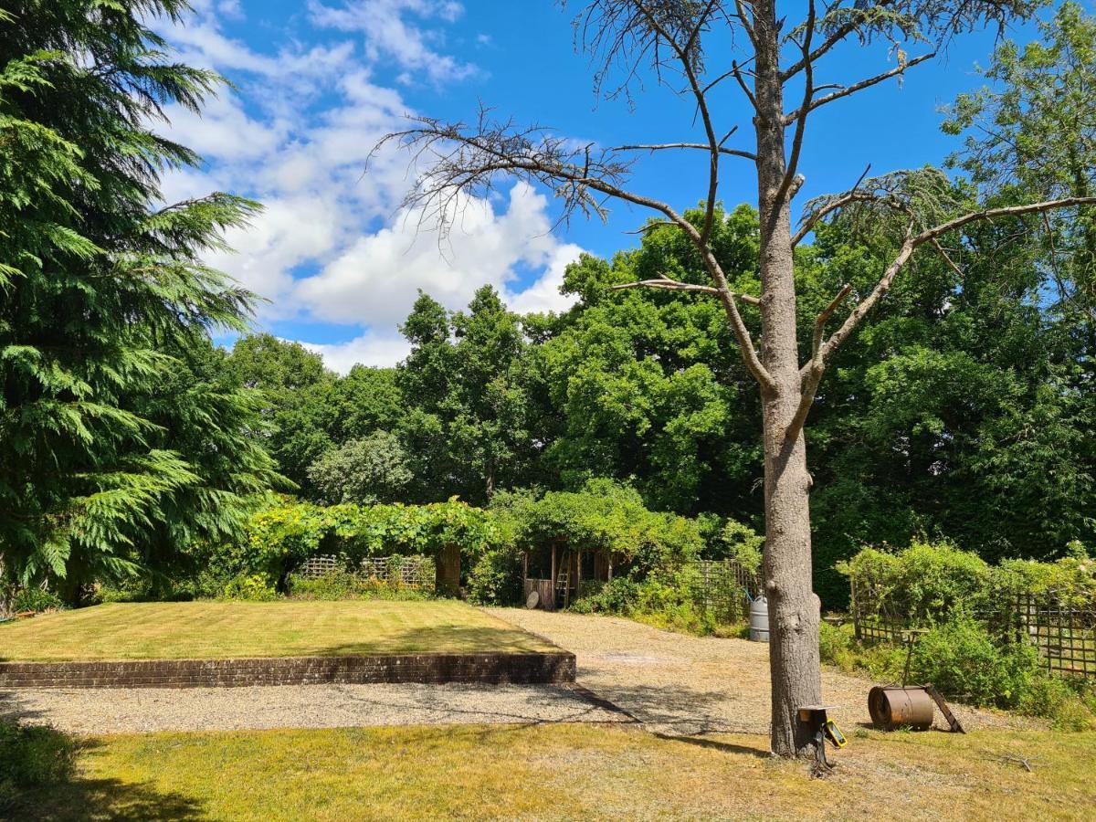 The Reading Whole Apartment With Private Lake And Gardens Eksteriør billede